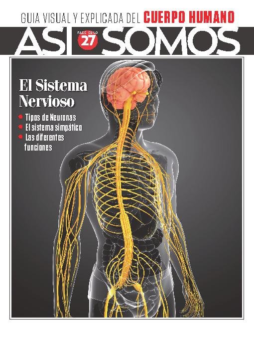 Así Somos El cuerpo humano Fasciculo 6 2023 Digital DiscountMags ca