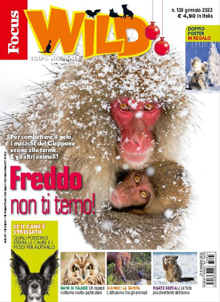 Focus Wild Gennaio 2023 Digital DiscountMags Ca