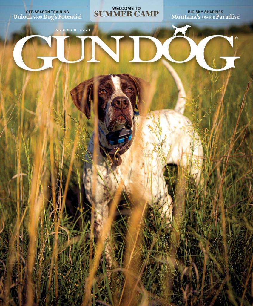 Gun Dog Magazine (Digital) Subscription Discount - DiscountMags.ca