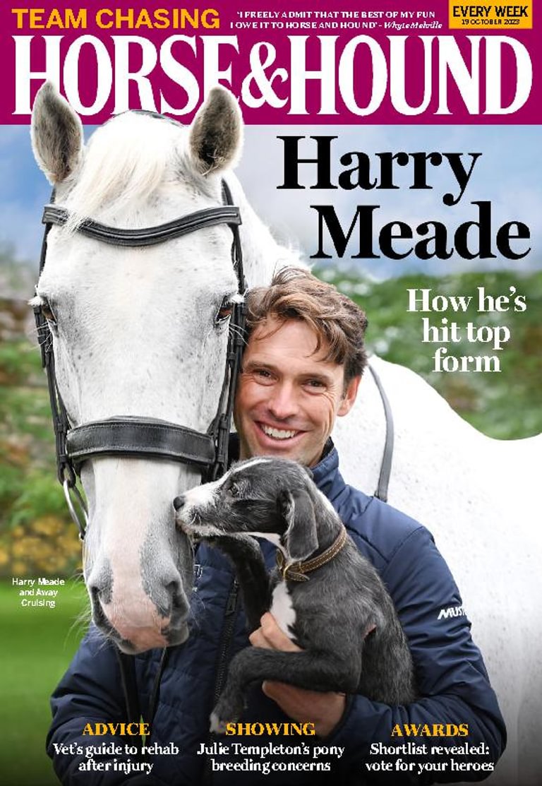 Horse & Hound 19-Oct-2023 (Digital) - DiscountMags.ca