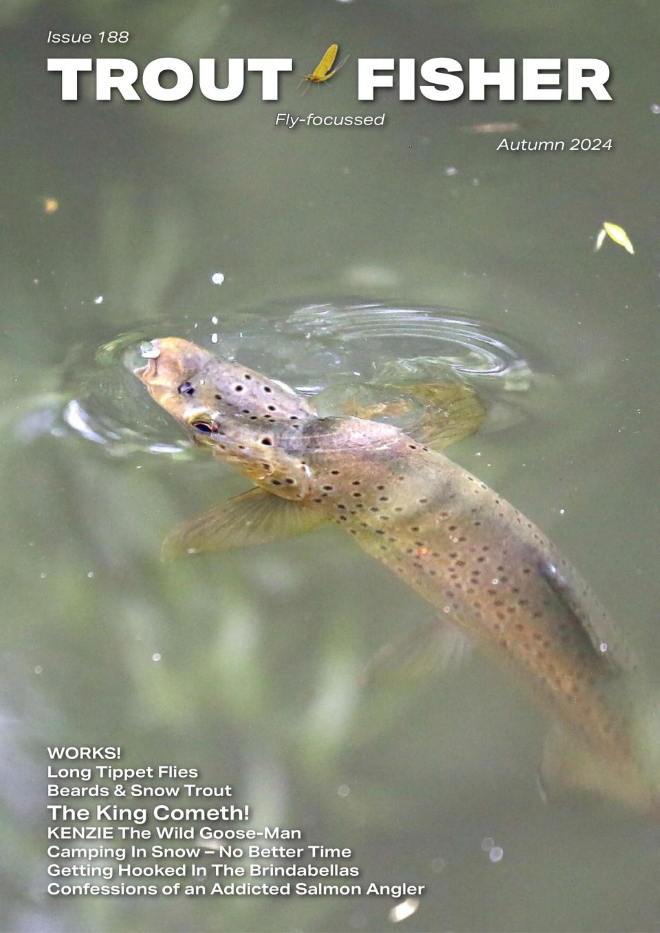 Nz Trout Fisher Autumn 2024 (Digital) DiscountMags.ca