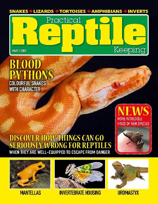 Practical Reptile Keeping March 2024 (Digital) - DiscountMags.ca