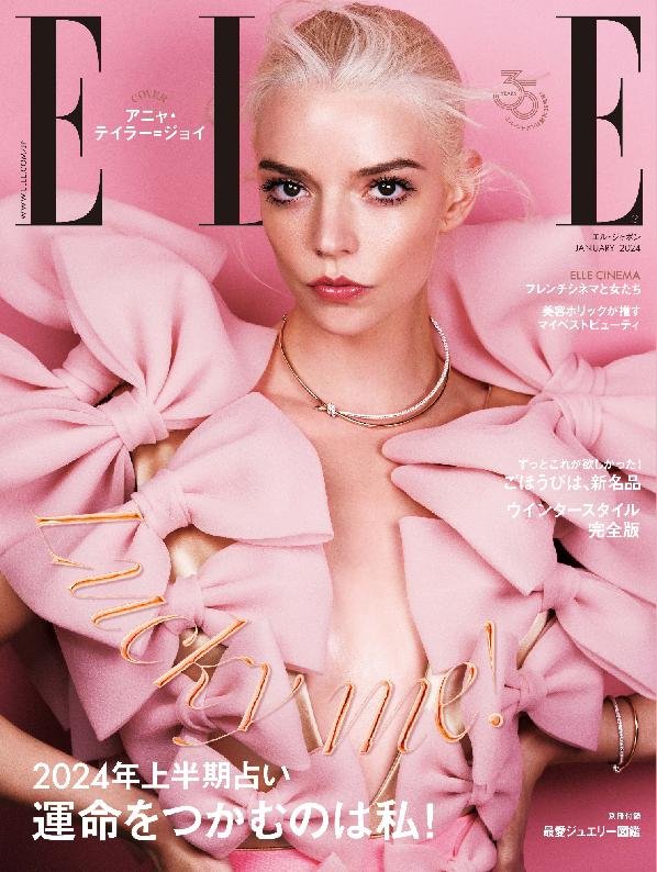 エル・ジャポン ELLE Japon 27371-126210776-001-001-Jan2024 (Digital) -  DiscountMags.ca