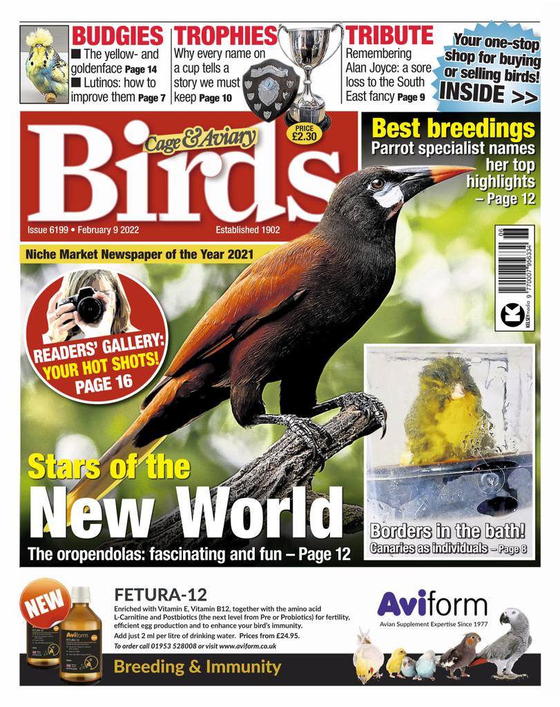 cage-aviary-birds-feb-9-2022-digital-discountmags-ca