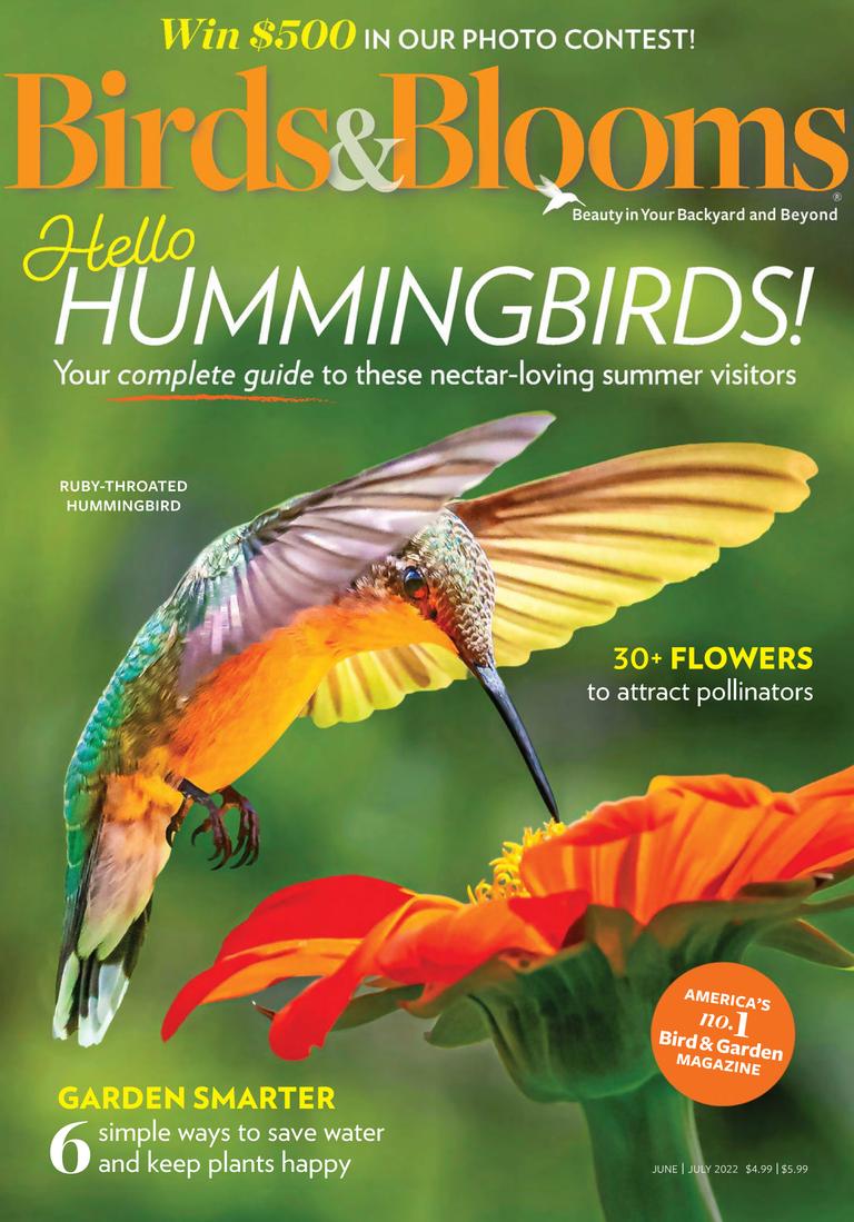 Birds & Blooms June/July 2022 (Digital) - DiscountMags.ca