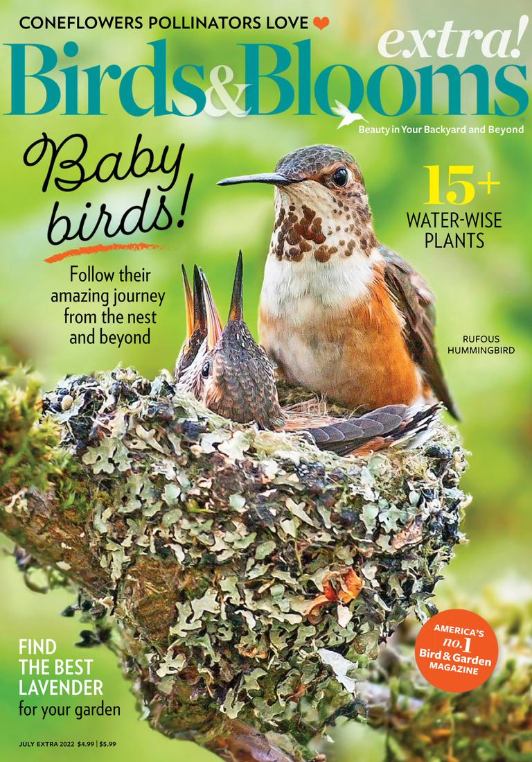 Birds and Blooms Extra July 2022 (Digital) - DiscountMags.ca