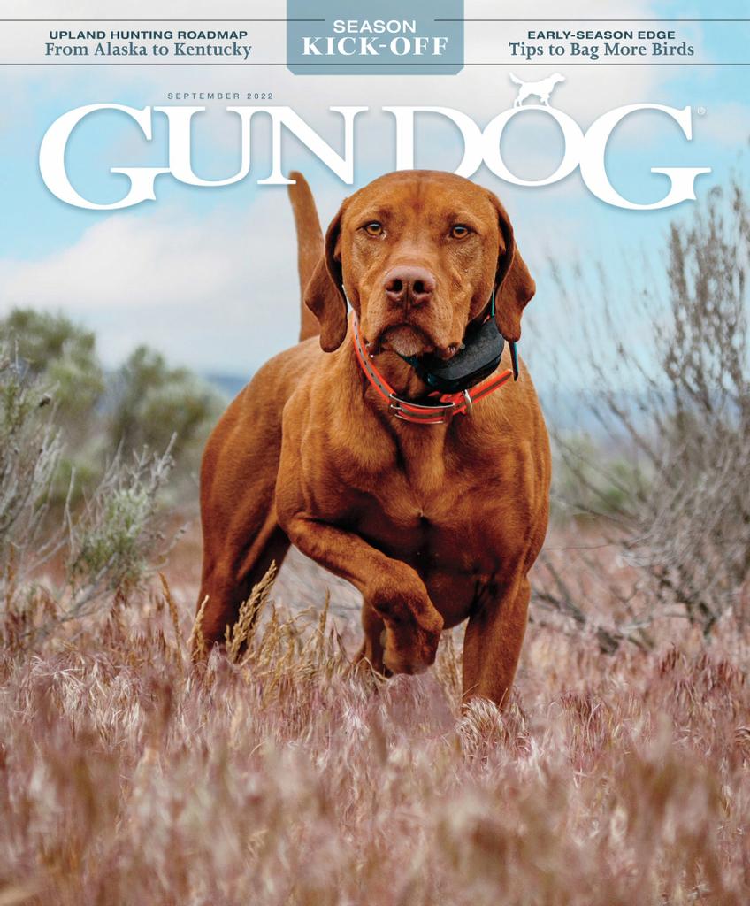 Gun Dog September 2022 (Digital) - DiscountMags.ca
