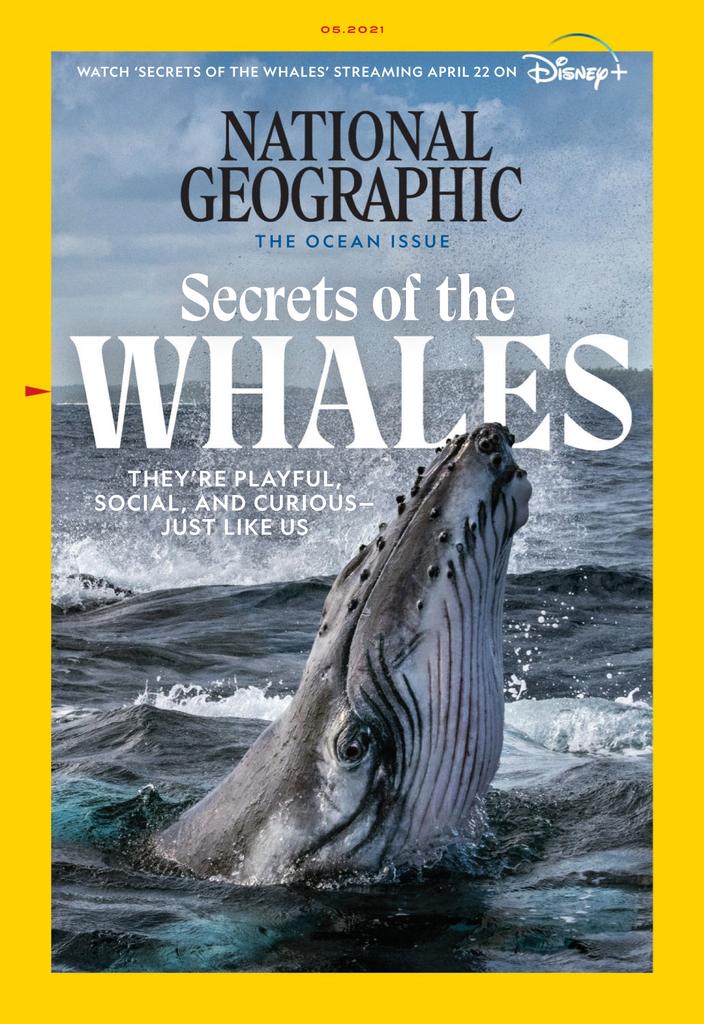National Geographic Magazine (Digital) Subscription Discount