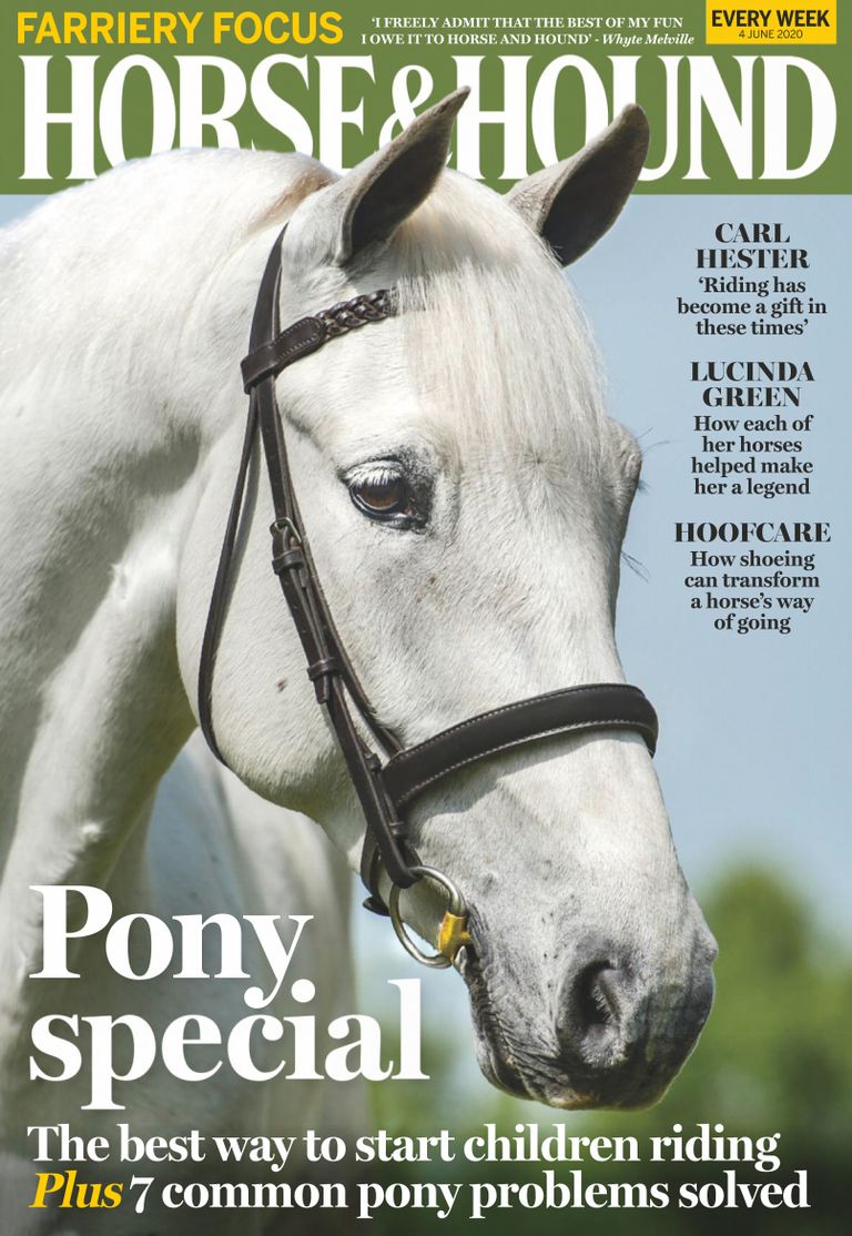 Horse &amp; Hound Magazine (Digital) Subscription Discount DiscountMags.ca
