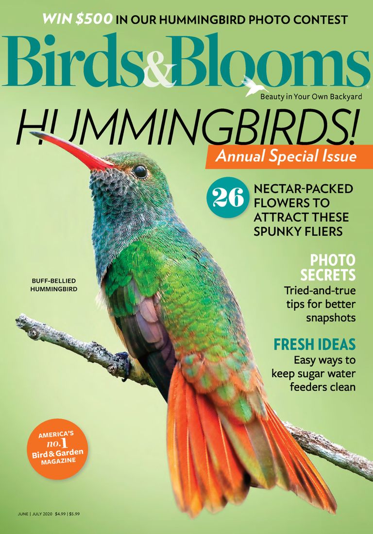 Birds & Blooms Magazine (Digital) Subscription Discount - DiscountMags.ca