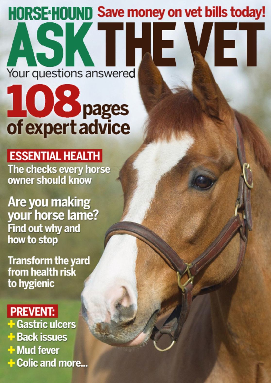 Horse &amp; Hound Ask the Vet Your questions answered Magazine (Digital