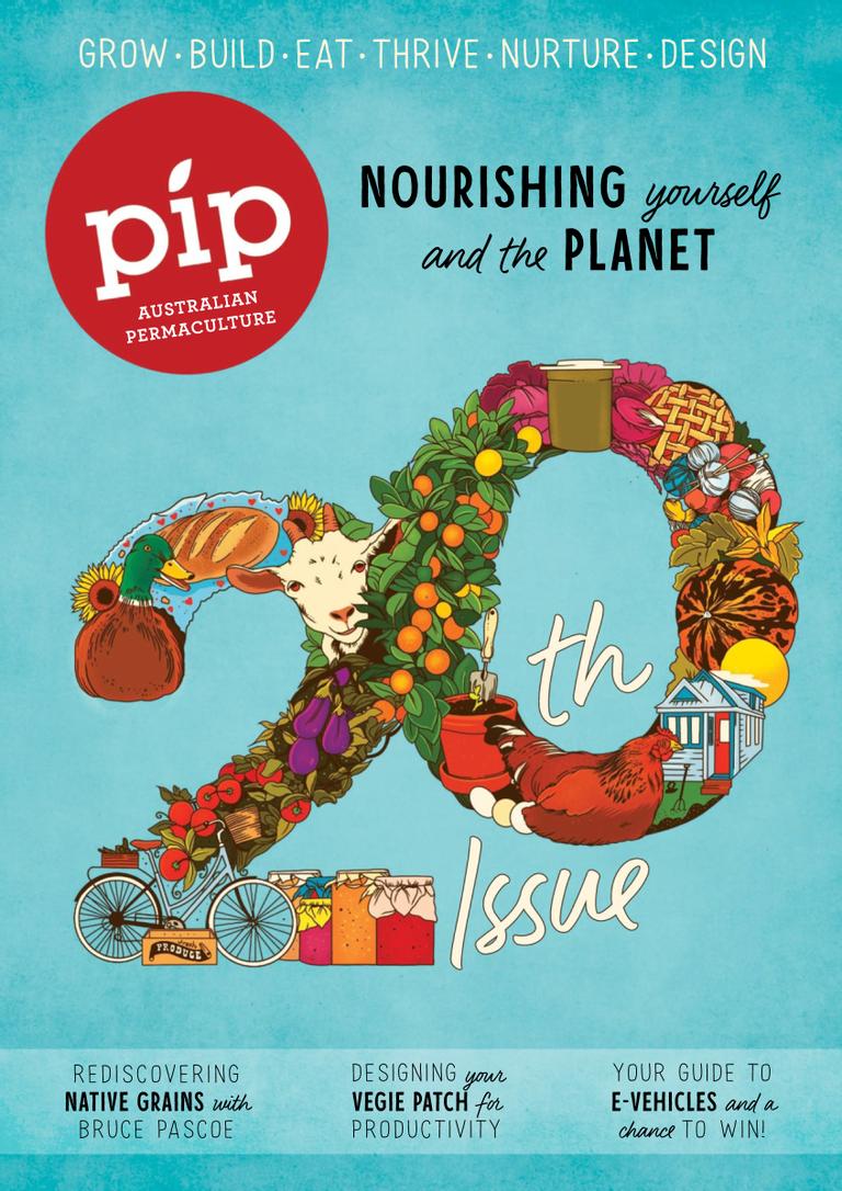 Pip Magazine (Digital) Subscription Discount - DiscountMags.ca