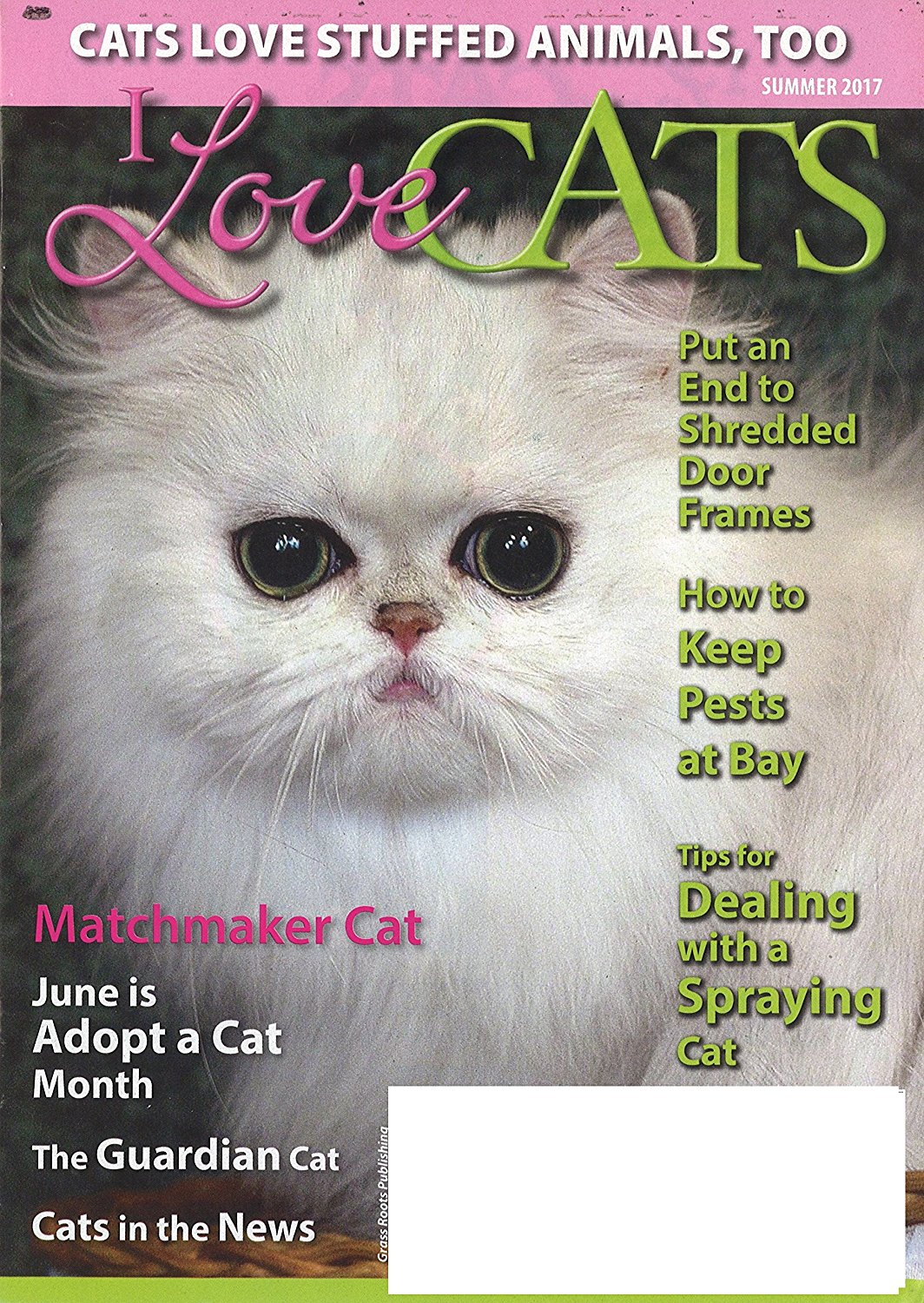 Download I Love Cats Magazine - DiscountMags.com